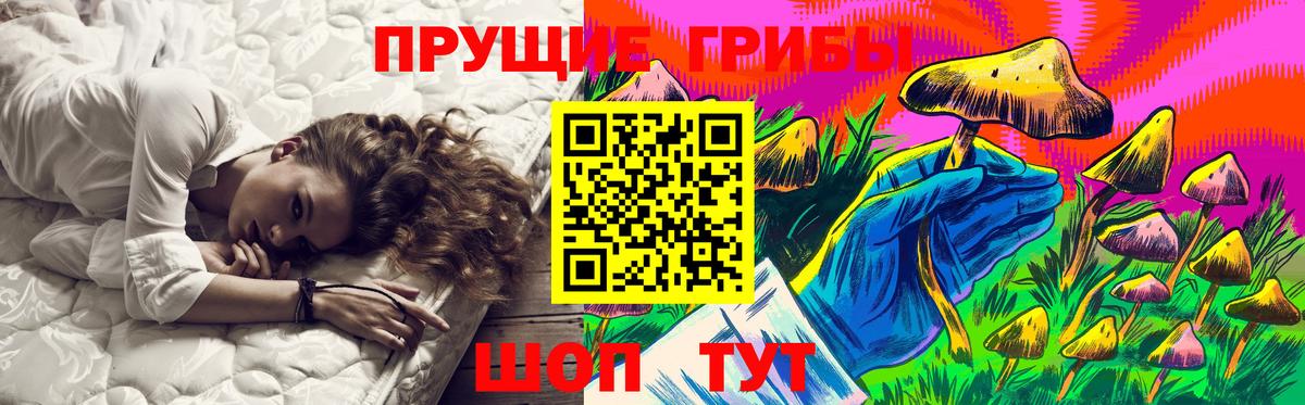 дарнет шоп  Вход с VPN  Псилоцибиновые грибы мухоморы  Кимры  Галлюциногенные грибы GOLDEN TEACHER 