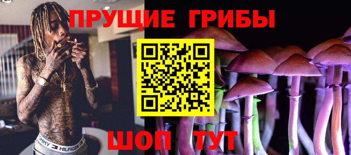 Галлюциногенные грибы Cubensis Кимры